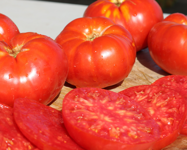 Beefmaster Hybrid Tomato Seeds